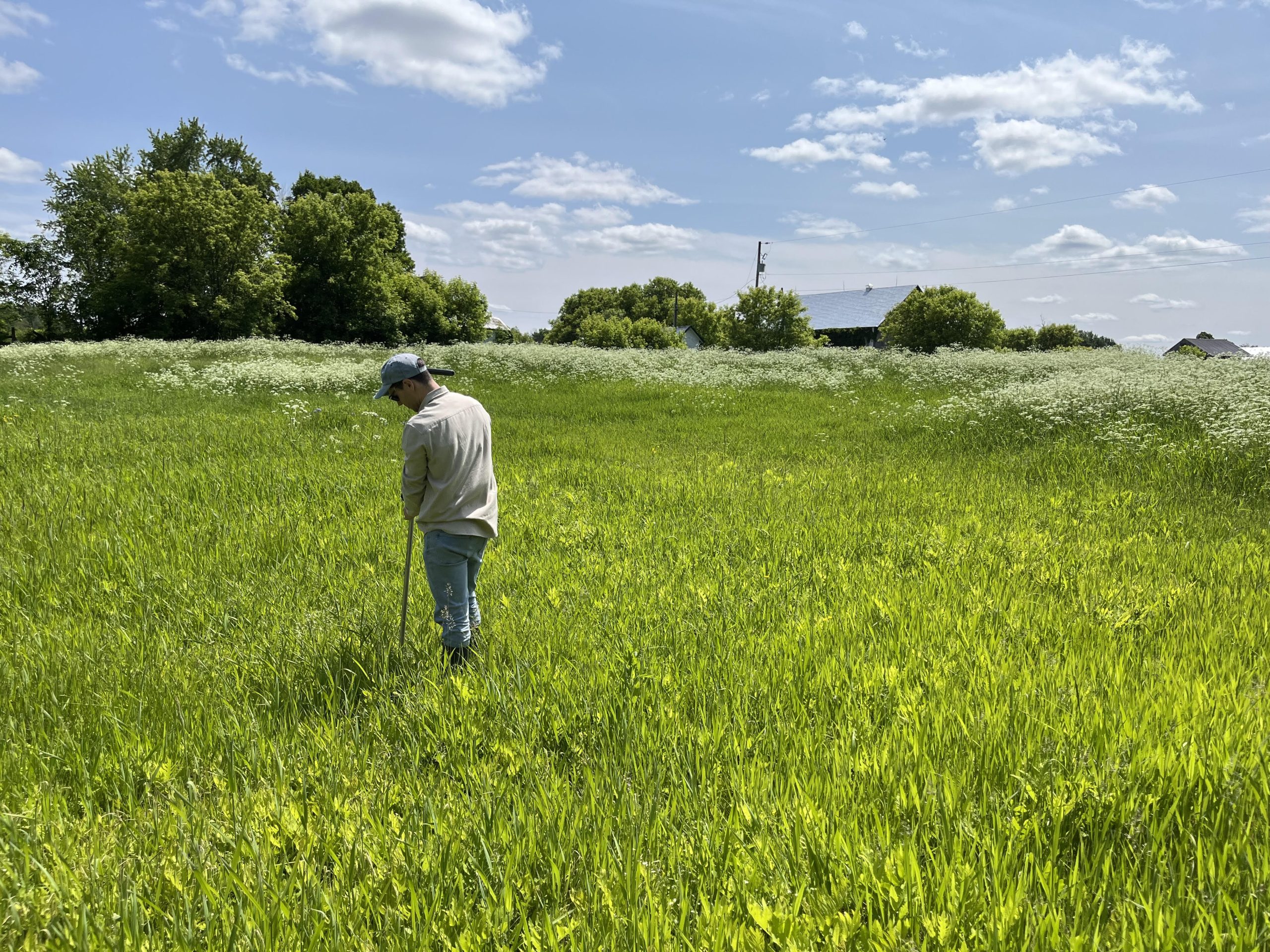 Écoulements souterrains dans la plaine inondable de la rivière du nord – un préalable pour la restauration des milieux humides