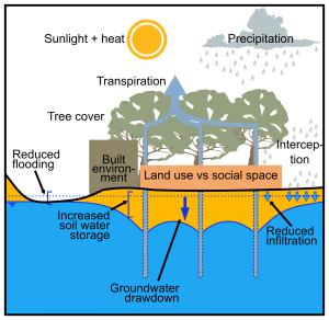 Qu&rsquo;est-ce qu&rsquo;une solution basée sur la nature?