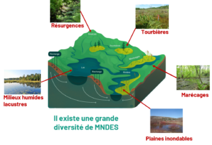 Qu&rsquo;est-ce qu&rsquo;un milieu naturel dépendant des eaux souterraines?