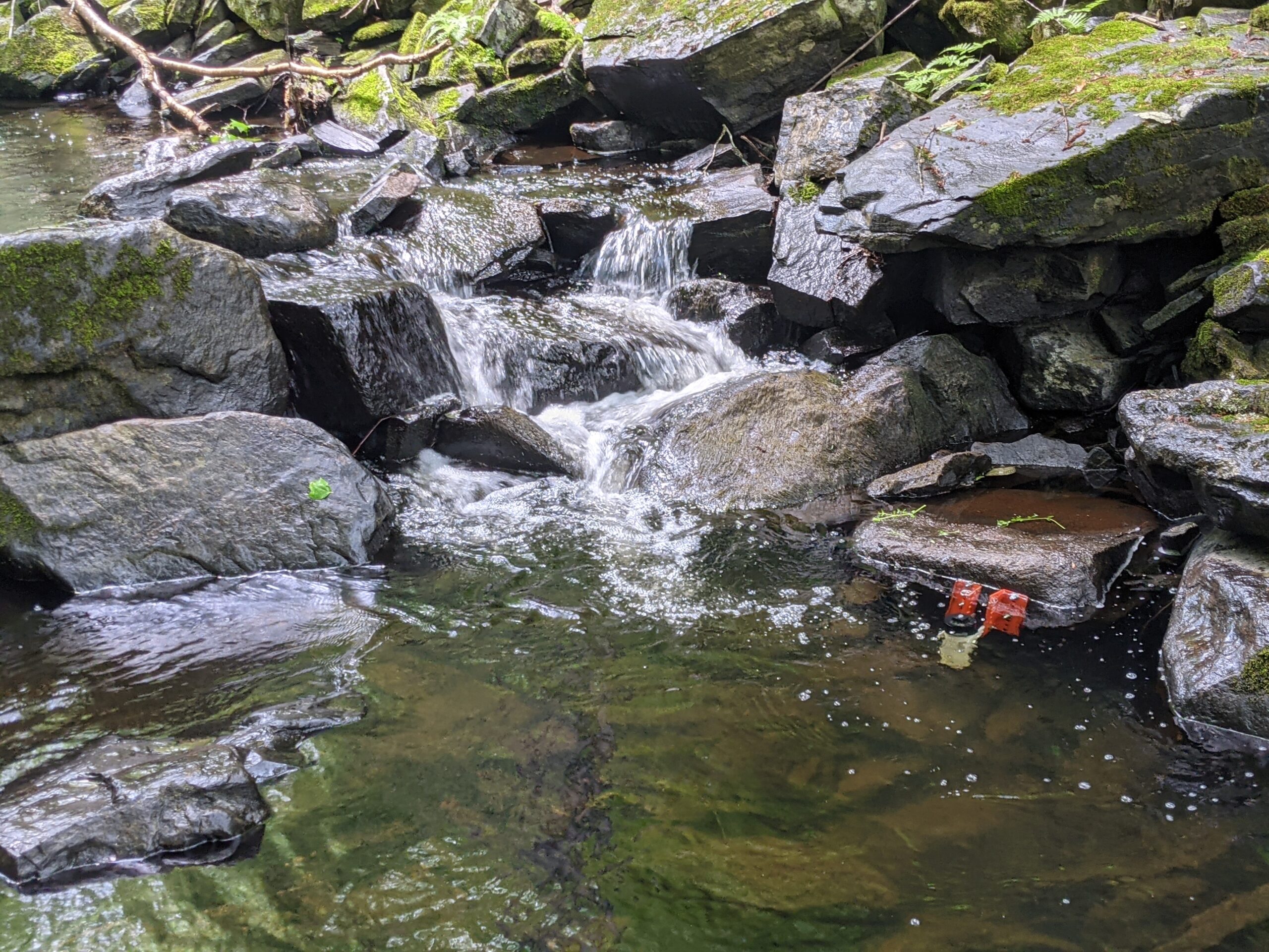 Connectivité des écosystèmes lotiques forestiers : conditions actuelles, impacts de la voirie forestière et effet des changements climatiques dans la forêt tempérée