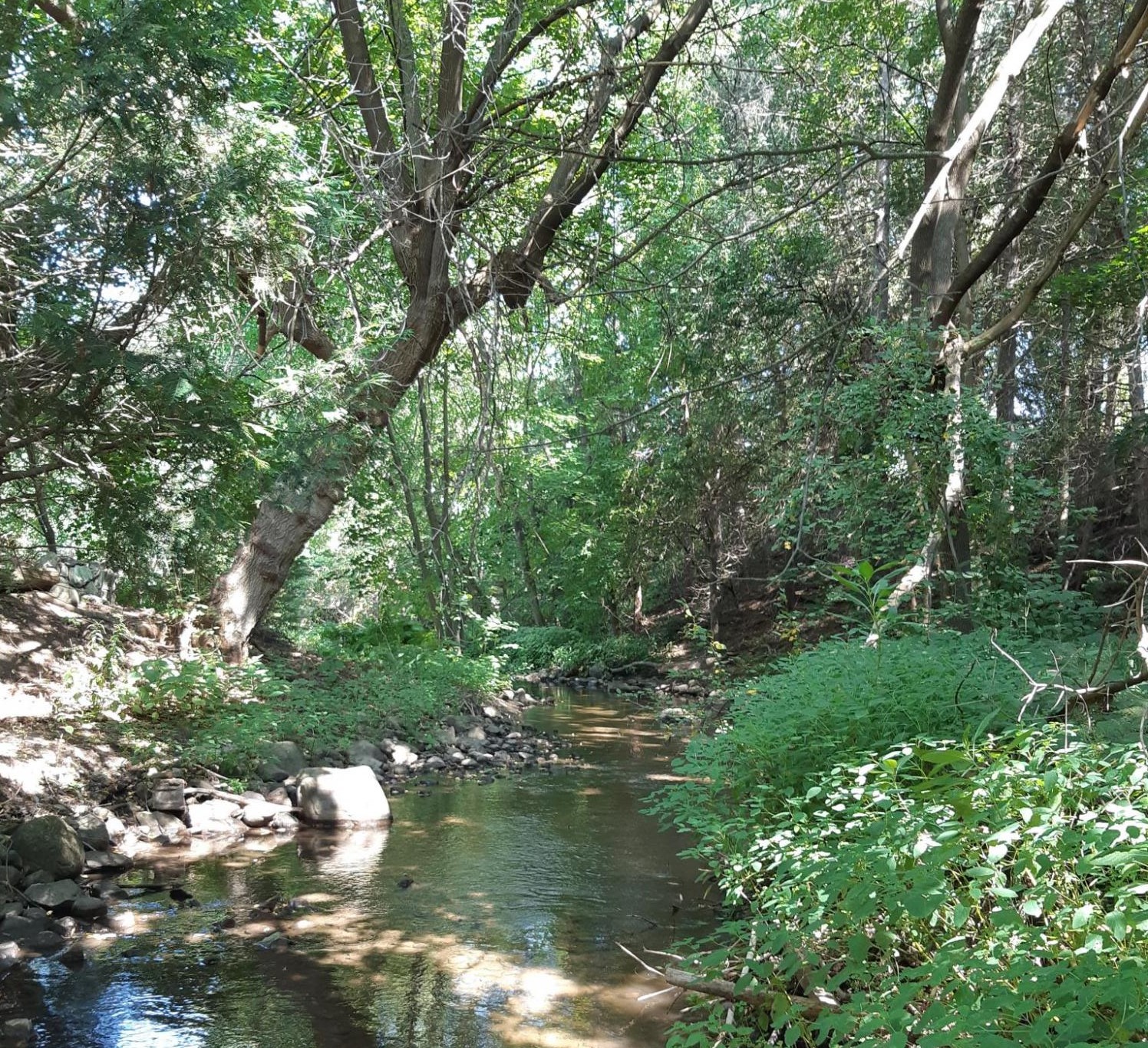 Résilience et services écologiques de l’eau souterraine