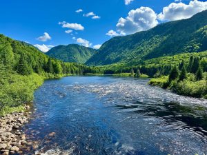 Contributions des eaux souterraines aux températures des rivières à saumon : caractérisation et opportunités