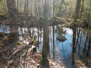 Les étangs temporaires sont-ils connectés à l&rsquo;eau souterraine ?