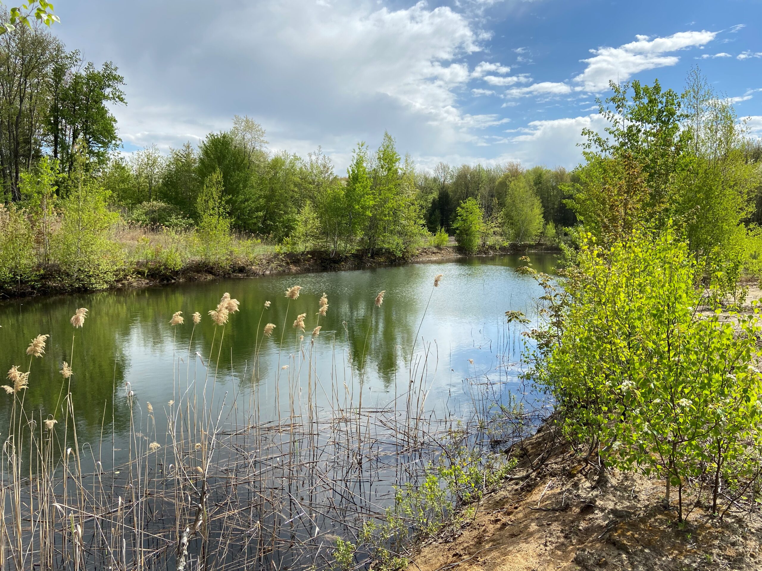 Évaluation de scénarios de gestion intégrée et soutenable de l’eau dans le complexe tourbeux de Lanoraie (projet SCELANEAU)