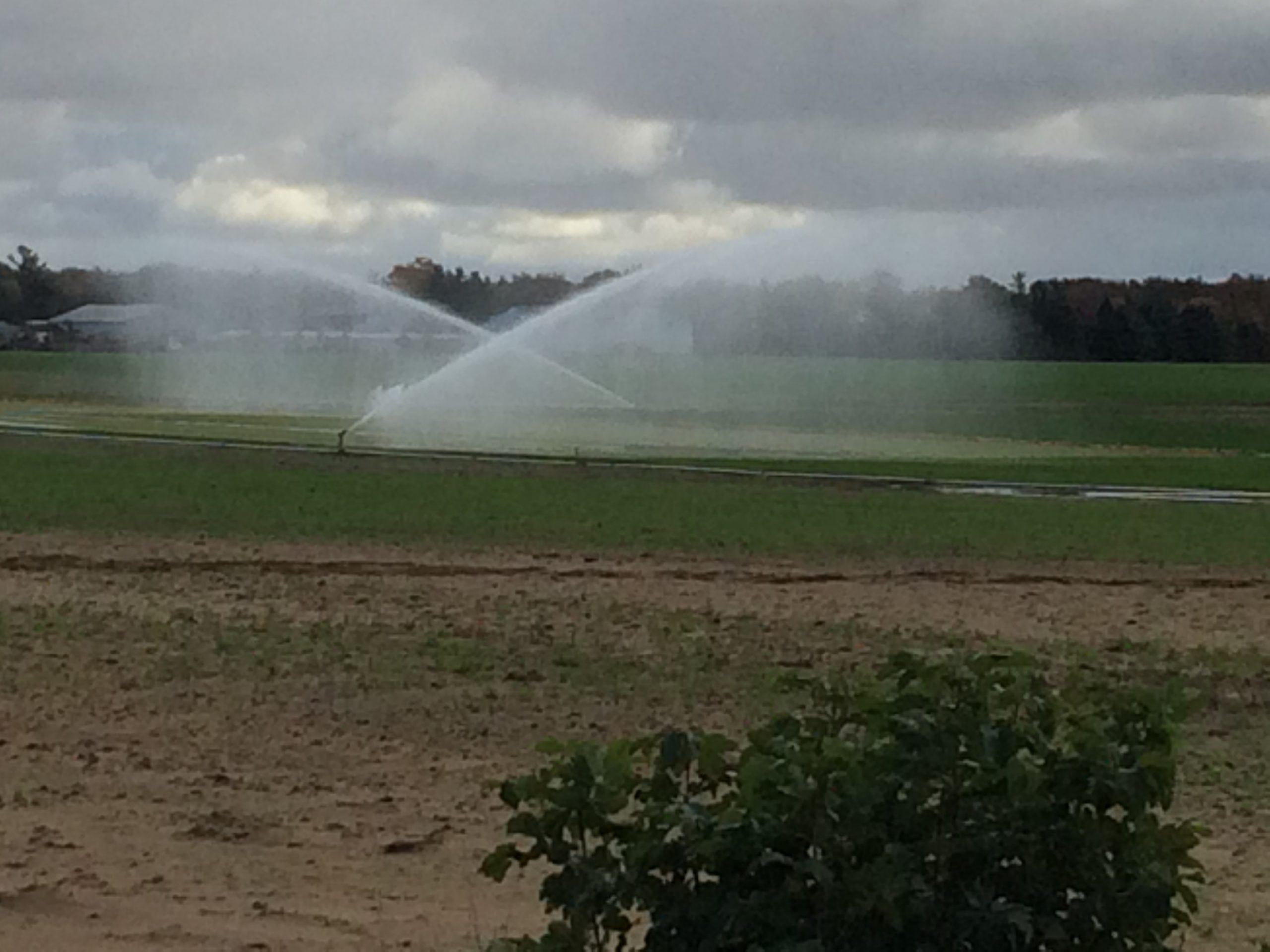 Groundwater use for agricultural production – current water budget and expected trends under climate change