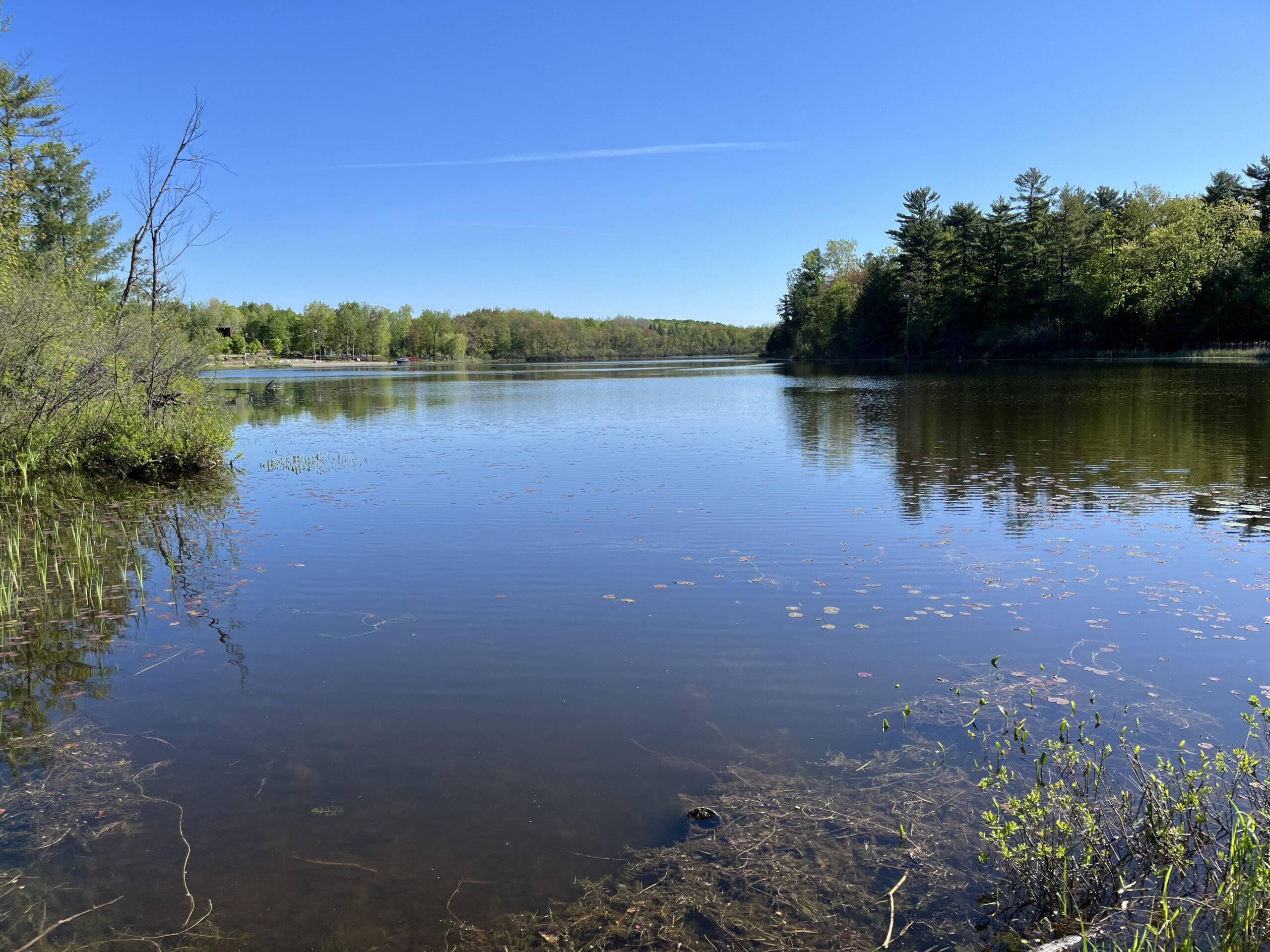 Étude hydrologique du lac Beauchamp et des milieux humides environnants